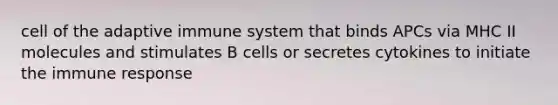 cell of the adaptive immune system that binds APCs via MHC II molecules and stimulates B cells or secretes cytokines to initiate the immune response