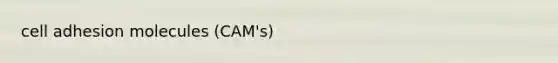 cell adhesion molecules (CAM's)