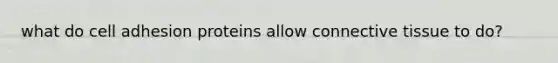 what do cell adhesion proteins allow connective tissue to do?