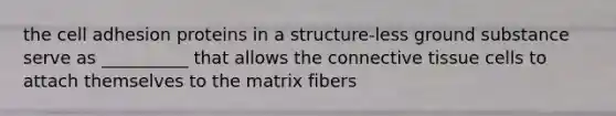 the cell adhesion proteins in a structure-less ground substance serve as __________ that allows the connective tissue cells to attach themselves to the matrix fibers