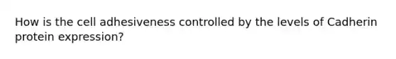 How is the cell adhesiveness controlled by the levels of Cadherin protein expression?