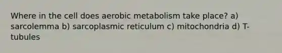 Where in the cell does aerobic metabolism take place? a) sarcolemma b) sarcoplasmic reticulum c) mitochondria d) T-tubules