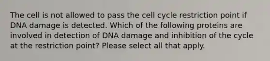 The cell is not allowed to pass the cell cycle restriction point if DNA damage is detected. Which of the following proteins are involved in detection of DNA damage and inhibition of the cycle at the restriction point? Please select all that apply.