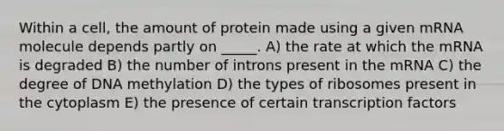 Within a cell, the amount of protein made using a given mRNA molecule depends partly on _____. A) the rate at which the mRNA is degraded B) the number of introns present in the mRNA C) the degree of DNA methylation D) the types of ribosomes present in the cytoplasm E) the presence of certain transcription factors