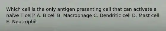 Which cell is the only antigen presenting cell that can activate a naïve T cell? A. B cell B. Macrophage C. Dendritic cell D. Mast cell E. Neutrophil