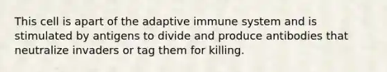 This cell is apart of the adaptive immune system and is stimulated by antigens to divide and produce antibodies that neutralize invaders or tag them for killing.