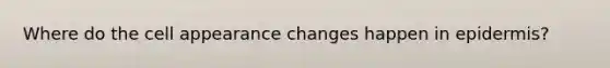 Where do the cell appearance changes happen in epidermis?