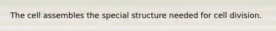 The cell assembles the special structure needed for cell division.