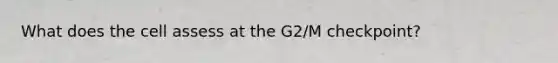 What does the cell assess at the G2/M checkpoint?