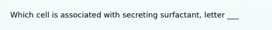 Which cell is associated with secreting surfactant, letter ___