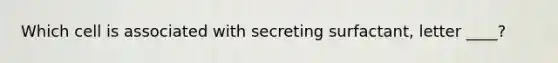 Which cell is associated with secreting surfactant, letter ____?