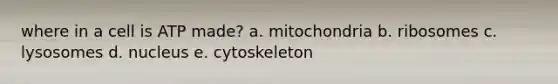 where in a cell is ATP made? a. mitochondria b. ribosomes c. lysosomes d. nucleus e. cytoskeleton