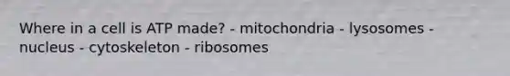 Where in a cell is ATP made? - mitochondria - lysosomes - nucleus - cytoskeleton - ribosomes