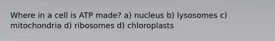 Where in a cell is ATP made? a) nucleus b) lysosomes c) mitochondria d) ribosomes d) chloroplasts