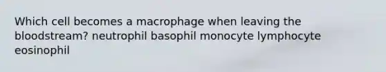 Which cell becomes a macrophage when leaving the bloodstream? neutrophil basophil monocyte lymphocyte eosinophil