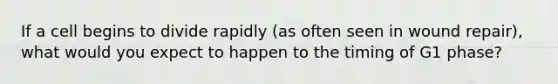 If a cell begins to divide rapidly (as often seen in wound repair), what would you expect to happen to the timing of G1 phase?