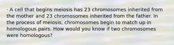 · A cell that begins meiosis has 23 chromosomes inherited from the mother and 23 chromosomes inherited from the father. In the process of meiosis, chromosomes begin to match up in homologous pairs. How would you know if two chromosomes were homologous?