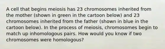 A cell that begins meiosis has 23 chromosomes inherited from the mother (shown in green in the cartoon below) and 23 chromosomes inherited from the father (shown in blue in the cartoon below). In the process of meiosis, chromosomes begin to match up inhomologous pairs. How would you know if two chromosomes were homologous?