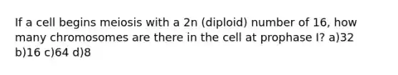 If a cell begins meiosis with a 2n (diploid) number of 16, how many chromosomes are there in the cell at prophase I? a)32 b)16 c)64 d)8