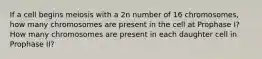 If a cell begins meiosis with a 2n number of 16 chromosomes, how many chromosomes are present in the cell at Prophase I? How many chromosomes are present in each daughter cell in Prophase II?