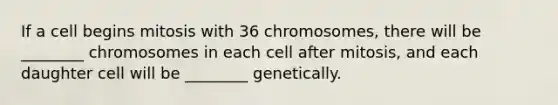 If a cell begins mitosis with 36 chromosomes, there will be ________ chromosomes in each cell after mitosis, and each daughter cell will be ________ genetically.