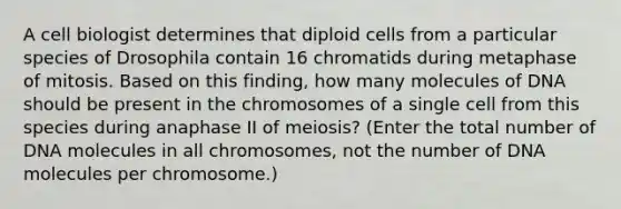 A cell biologist determines that diploid cells from a particular species of Drosophila contain 16 chromatids during metaphase of mitosis. Based on this finding, how many molecules of DNA should be present in the chromosomes of a single cell from this species during anaphase II of meiosis? (Enter the total number of DNA molecules in all chromosomes, not the number of DNA molecules per chromosome.)