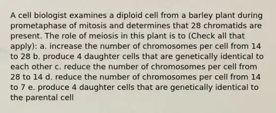 A cell biologist examines a diploid cell from a barley plant during prometaphase of mitosis and determines that 28 chromatids are present. The role of meiosis in this plant is to (Check all that apply): a. increase the number of chromosomes per cell from 14 to 28 b. produce 4 daughter cells that are genetically identical to each other c. reduce the number of chromosomes per cell from 28 to 14 d. reduce the number of chromosomes per cell from 14 to 7 e. produce 4 daughter cells that are genetically identical to the parental cell