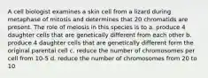 A cell biologist examines a skin cell from a lizard during metaphase of mitosis and determines that 20 chromatids are present. The role of meiosis in this species is to a. produce 4 daughter cells that are genetically different from each other b. produce 4 daughter cells that are genetically different form the original parental cell c. reduce the number of chromosomes per cell from 10-5 d. reduce the number of chromosomes from 20 to 10