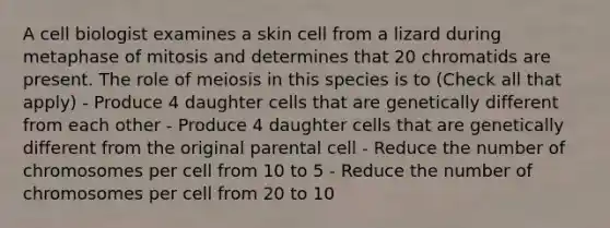 A cell biologist examines a skin cell from a lizard during metaphase of mitosis and determines that 20 chromatids are present. The role of meiosis in this species is to (Check all that apply) - Produce 4 daughter cells that are genetically different from each other - Produce 4 daughter cells that are genetically different from the original parental cell - Reduce the number of chromosomes per cell from 10 to 5 - Reduce the number of chromosomes per cell from 20 to 10