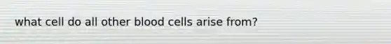 what cell do all other blood cells arise from?