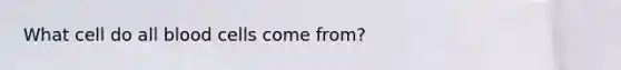 What cell do all blood cells come from?