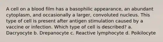 A cell on a blood film has a basophilic appearance, an abundant cytoplasm, and occasionally a larger, convoluted nucleus. This type of cell is present after antigen stimulation caused by a vaccine or infection. Which type of cell is described? a. Dacryocyte b. Drepanocyte c. Reactive lymphocyte d. Poikilocyte