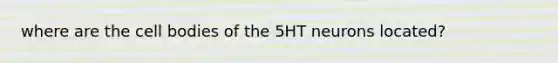 where are the cell bodies of the 5HT neurons located?