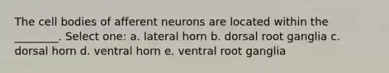 The cell bodies of afferent neurons are located within the ________. Select one: a. lateral horn b. dorsal root ganglia c. dorsal horn d. ventral horn e. ventral root ganglia