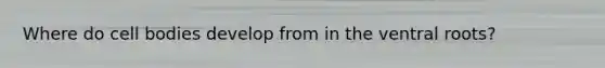 Where do cell bodies develop from in the ventral roots?