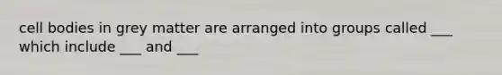 cell bodies in grey matter are arranged into groups called ___ which include ___ and ___