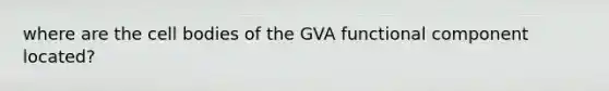 where are the cell bodies of the GVA functional component located?