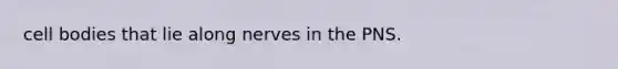 cell bodies that lie along nerves in the PNS.