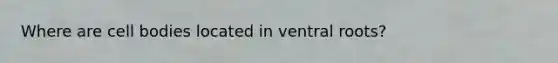 Where are cell bodies located in ventral roots?