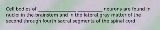 Cell bodies of _________________ ___________ neurons are found in nuclei in the brainstem and in the lateral gray matter of the second through fourth sacral segments of the spinal cord