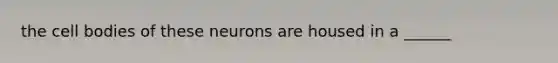 the cell bodies of these neurons are housed in a ______
