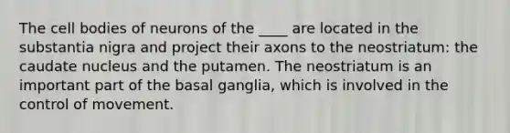 The cell bodies of neurons of the ____ are located in the substantia nigra and project their axons to the neostriatum: the caudate nucleus and the putamen. The neostriatum is an important part of the basal ganglia, which is involved in the control of movement.