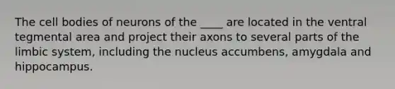 The cell bodies of neurons of the ____ are located in the ventral tegmental area and project their axons to several parts of the limbic system, including the nucleus accumbens, amygdala and hippocampus.