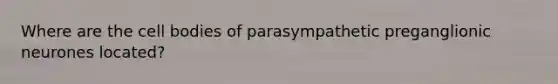 Where are the cell bodies of parasympathetic preganglionic neurones located?