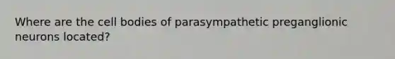 Where are the cell bodies of parasympathetic preganglionic neurons located?