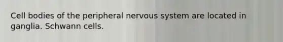 Cell bodies of the peripheral <a href='https://www.questionai.com/knowledge/kThdVqrsqy-nervous-system' class='anchor-knowledge'>nervous system</a> are located in ganglia. Schwann cells.