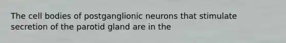 The cell bodies of postganglionic neurons that stimulate secretion of the parotid gland are in the