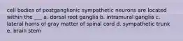 cell bodies of postganglionic sympathetic neurons are located within the ___ a. dorsal root ganglia b. intramural ganglia c. lateral horns of gray matter of spinal cord d. sympathetic trunk e. brain stem