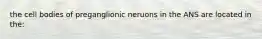 the cell bodies of preganglionic neruons in the ANS are located in the: