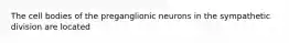 The cell bodies of the preganglionic neurons in the sympathetic division are located
